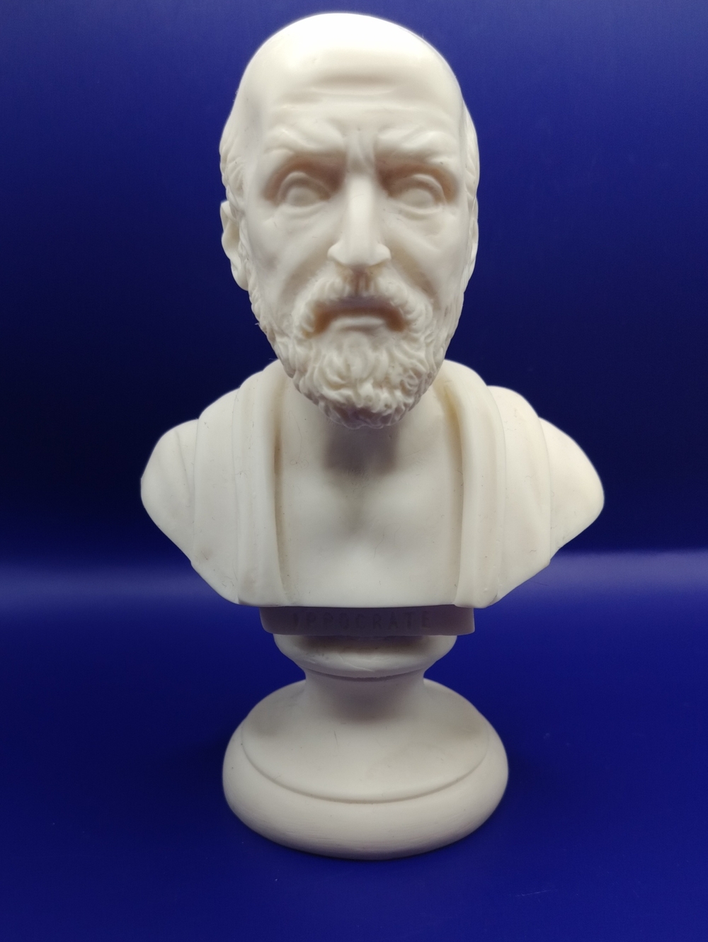 Hippocrate Bust Sculpture Resin Figurine Decorative Accent 6" Tall